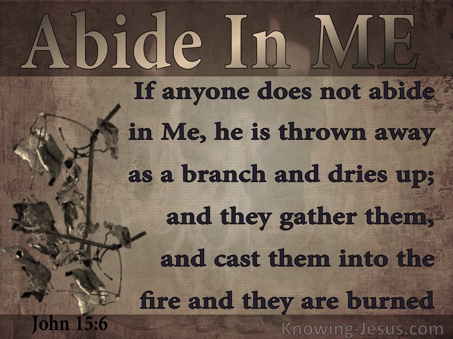 John 15:6 He Who Does Not Abide In Me Is Thrown Away (brown)